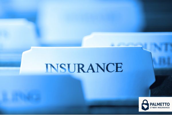 Insurance Policy Options