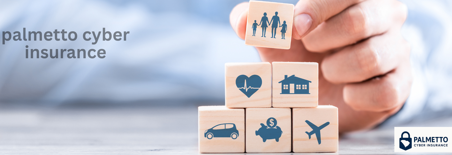 palmettocyberinsurance